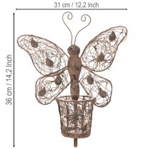 Product Metal lantern, wall decoration, butterfly, rust finish, 36.5cm