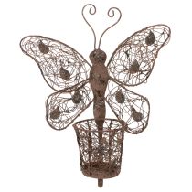 Product Metal lantern, wall decoration, butterfly, rust finish, 36.5cm