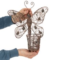 Product Metal lantern, wall decoration, butterfly, rust finish, 36.5cm