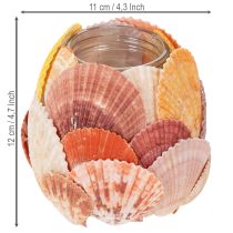 Product Nautical tealight holder, lantern, real seashells, decoration for bathroom, holiday atmosphere, 12cm