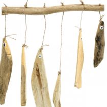Product Maritime fish decoration, driftwood wind chimes, wood decoration L50cm W30cm