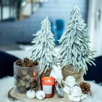 Winter fir in a pot, Christmas decoration, fir tree with snow H45cm