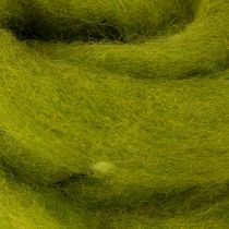 Product Wool wick Soft felted wool for decorative designs and seasonal arrangements 2m Green