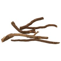 Product Decorative wooden branches and rootstocks, naturally dried, 18cm, 500g