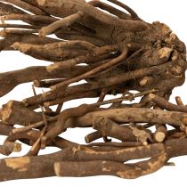 Product Decorative wooden branches and rootstocks, naturally dried, 18cm, 500g