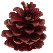 Product Natural Pine Cone Mix for Winter Crafts and Decorations 400g