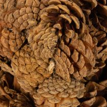 Product Pine cone planter, star shape, 30cm
