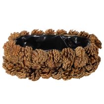 Product Oval pine cone planter, 30cm