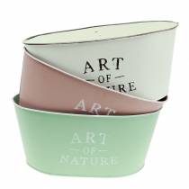 Product Flower bowl oval zinc 27 × 18cm H12.5cm Different colors