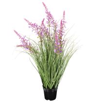 Product Decorative greenery with delicate blossoms for stylish room design 67cm