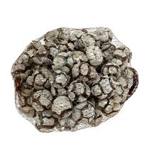 Product Cypress cones 3cm White washed 500g