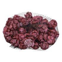Product Cypress cones frosted natural decoration 3cm dark red 500g