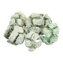 Product Cypress Cones Frosted Natural Decoration 3cm Green 500g