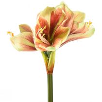 Product Artificial Amaryllis Flower in Pink and Yellow – 66 cm – Ideal gift idea and stylish decoration for interiors