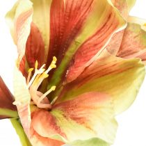 Product Artificial Amaryllis Flower in Pink and Yellow – 66 cm – Ideal gift idea and stylish decoration for interiors