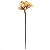 Product Artificial Amaryllis Flower in Pink and Yellow – 66 cm – Ideal gift idea and stylish decoration for interiors