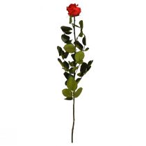 Product Infinity Rose with Leaves Preserved Amorosa Red L54cm