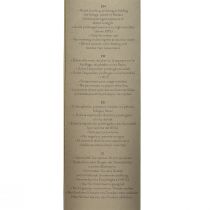 Product Infinity Rose with Leaves Preserved Amorosa Red L54cm