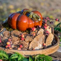 Product Tree Sponge Natural Decorative Mushrooms Dried 6cm 1kg