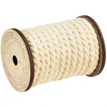 Product Cotton cord decorative cord cream Ø6mm 5m each 2pcs