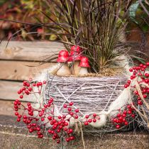 Product Berry Branch Artificial Red Berries Branch Decoration L50cm 2pcs