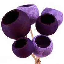 Product Bell Cup on a Stick Exotic Dry Decoration Purple Berry 44cm 15 pcs
