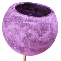 Product Bell Cup on a Stick Exotic Dry Decoration Purple Berry 44cm 15 pcs