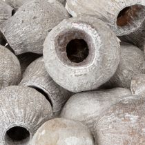 Product Bellgums whitewashed 2cm - 5cm 500g