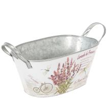 Product Oval metal flower bowl with handles, lavender, 32×15×15cm