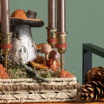 Product Flower plug mushroom decoration plug wood brown Ø2.5cm 8 pcs