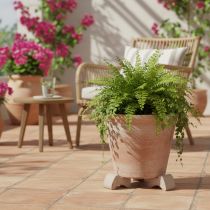 Product Flower pot feet, practical riser, pot accessory for balcony and terrace, 7cm, 3 pieces