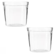 Product Flowerpot Glass Planter Transparent Ø11cm H10.5cm 2pcs
