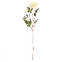 Product Chrysanthemum Cream Artificial Flower with 2 Flowers L70cm