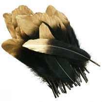 Product Decorative Feathers Black Gold Real Goose Feathers 15-20cm 50pcs