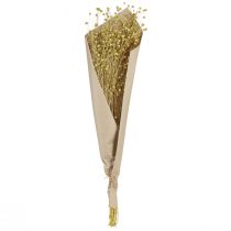 Product Decorative Flax Dried Flowers Olive Green 50g