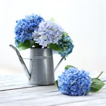 Product Galvanized decorative watering can, metal, grey, vintage look, 1.7L, H23cm, for stylish flower decorations &amp; planters