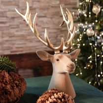 Product Decorative stag head sculpture with large antlers, 52cm