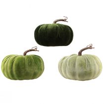 Product Decorative pumpkin autumn green dark green light green Ø18cm 3 pcs