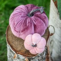 Product Decorative Pumpkins Flocked Burgundy Pink Ø13cm H11,5cm 3 pcs