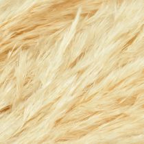 Product Decoration Pampas Grass Cream Dried Grasses Bleached 95cm 3 Pcs