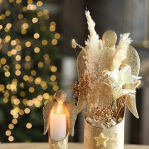 Product Decoration Pampas Grass Cream Dried Grasses Bleached 95cm 3 Pcs
