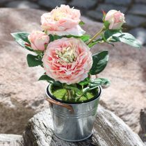 Product Decorative rose in pot, romantic silk flowers, pink peony