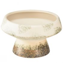 Product Decorative bowl ceramic with base cream grey-green Ø17cm 10cm