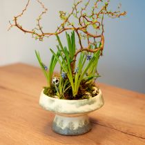 Product Decorative bowl ceramic with base cream grey-green Ø17cm 10cm