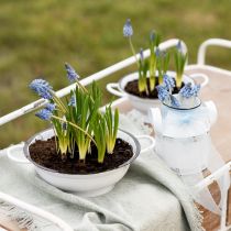 Product Decorative Bowl Metal in White Black Vintage Ø20.5cm 3pcs