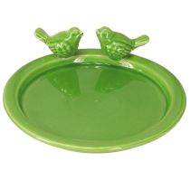 Product Decorative plate bird bath table decoration ceramic green Ø20.5cm 2pcs