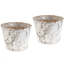 Product Decorative pot birch whitened plant pot Ø18cm H15cm 2pcs