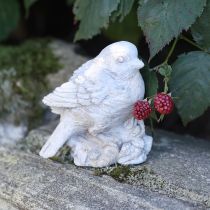 Product Decorative bird figurine sparrow cast stone white washed H12.5cm