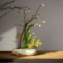 Product Decorative bowl oval flat ceramic bowl cream grey-green 19×14×5cm