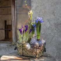 Product Wire basket oval with handle 27x16.5cm H13.5cm brown